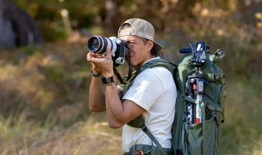 Best Time to See the Wildebeest Migration in Serengeti