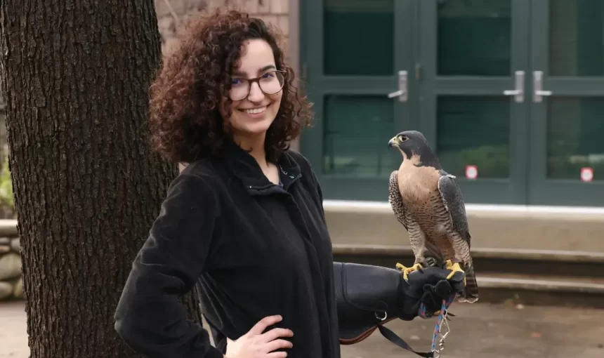 Expert Tips for Gorilla Trekking in Rwanda