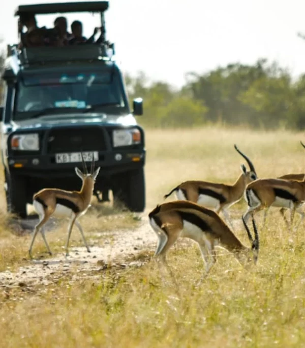 1482850c9638ffbaf179551ee82829385de06541