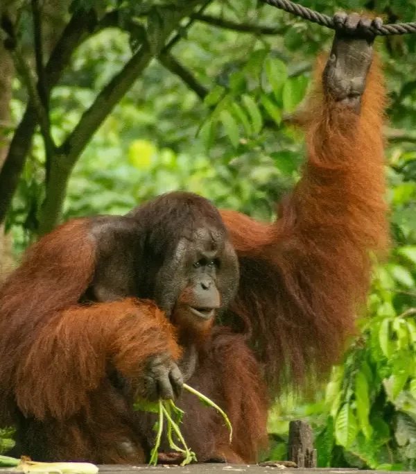 3c8be282ceae4787e242d83709c35a0287d48c91