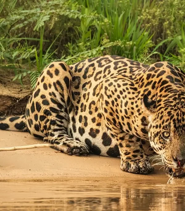 cebb178ad35672fb34f9c1840d730bf39f1bc9d5